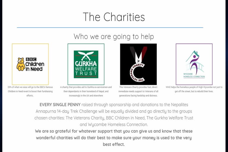 Charity campaign website page portfolio item